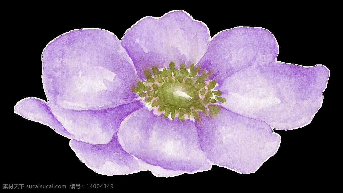 迷人 紫色 水彩 花朵 透明 装饰 海报设计装饰 卡通 免扣 设计素材 淘宝素材 透明素材 装饰图案