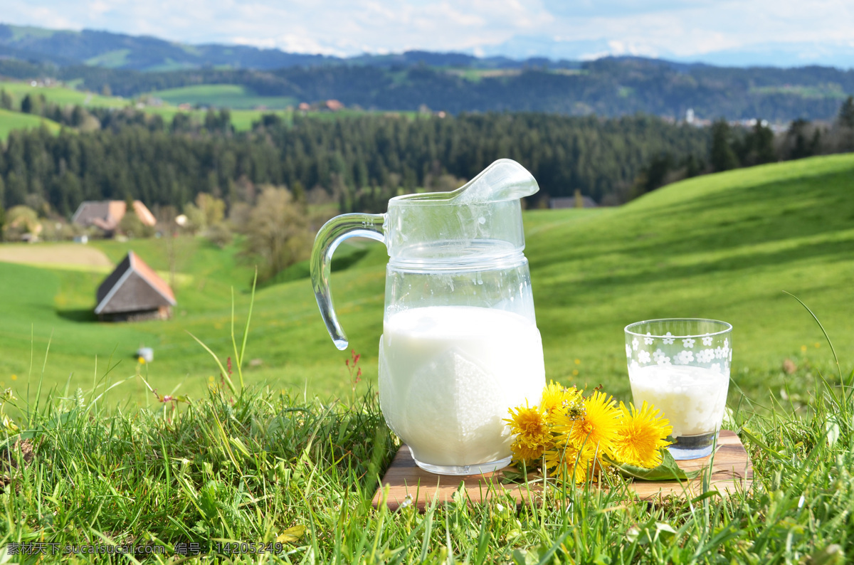 草原上的牛奶 草原 牛奶杯 鲜牛奶 鲜奶 牛奶 牛奶摄影 酒水饮料 餐饮美食 绿色