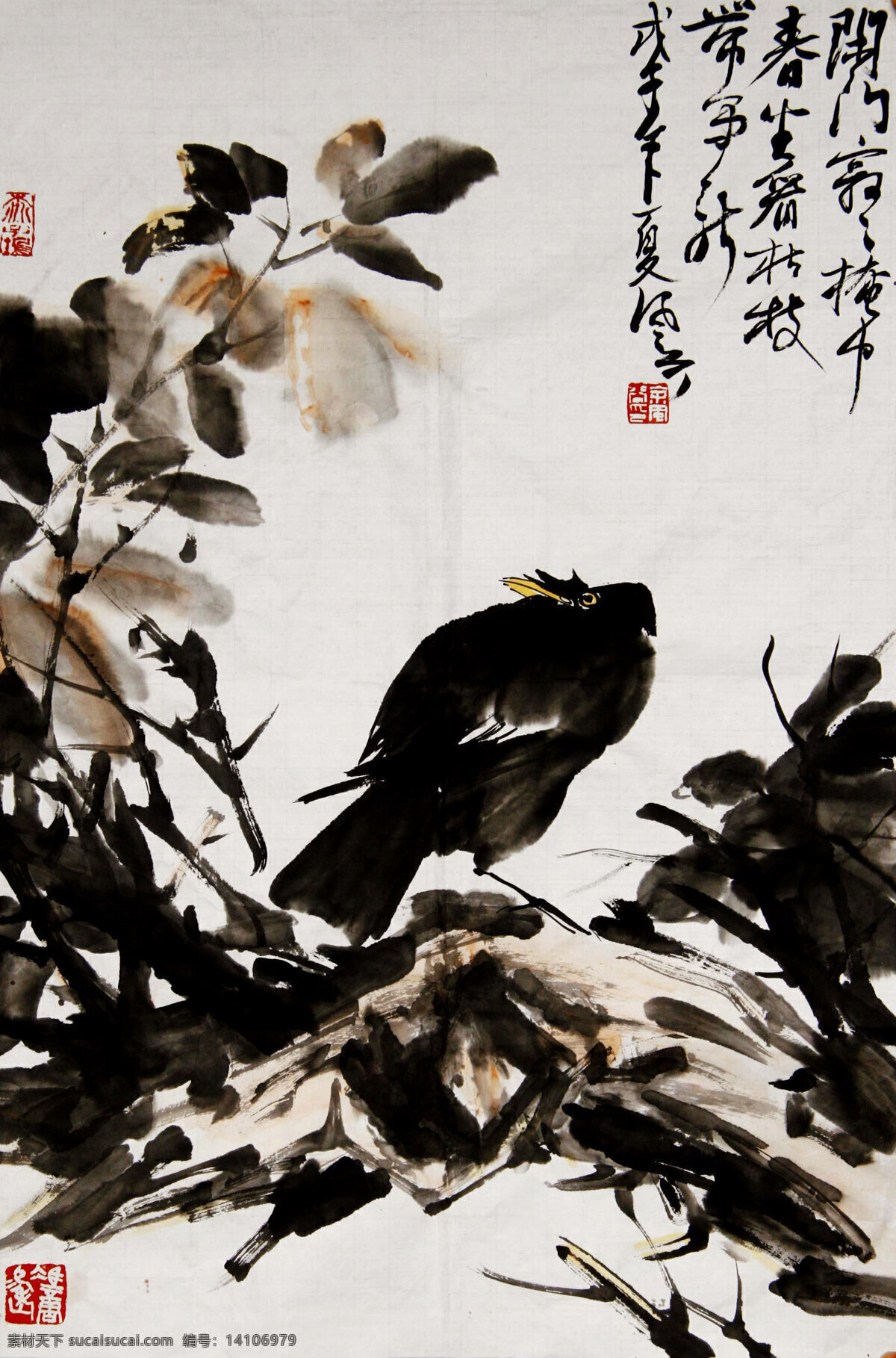 国画艺术 国画作品欣赏 花卉画 花鸟 画 绘画书法 鸟 中国画 水墨画 写意画 八哥 植物 叶子 石头 野草 书法 印章 文化艺术 家居装饰素材 雕刻 图案