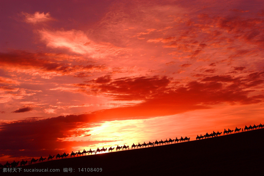 骆驼商队 红色 夕阳 丝绸之路 自然风景 自然景观