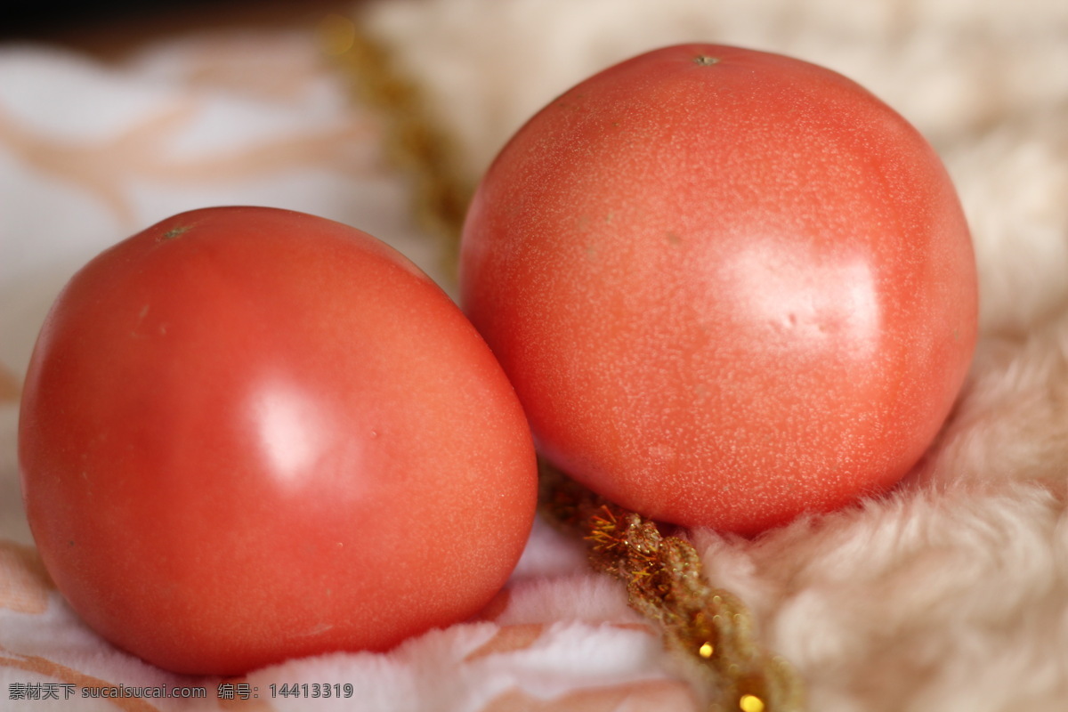 西红柿 绿色蔬菜 生菜 生物世界 蔬菜 新鲜蔬菜 植物 健康蔬菜 高清蔬菜 蔬菜主题 风景 生活 旅游餐饮