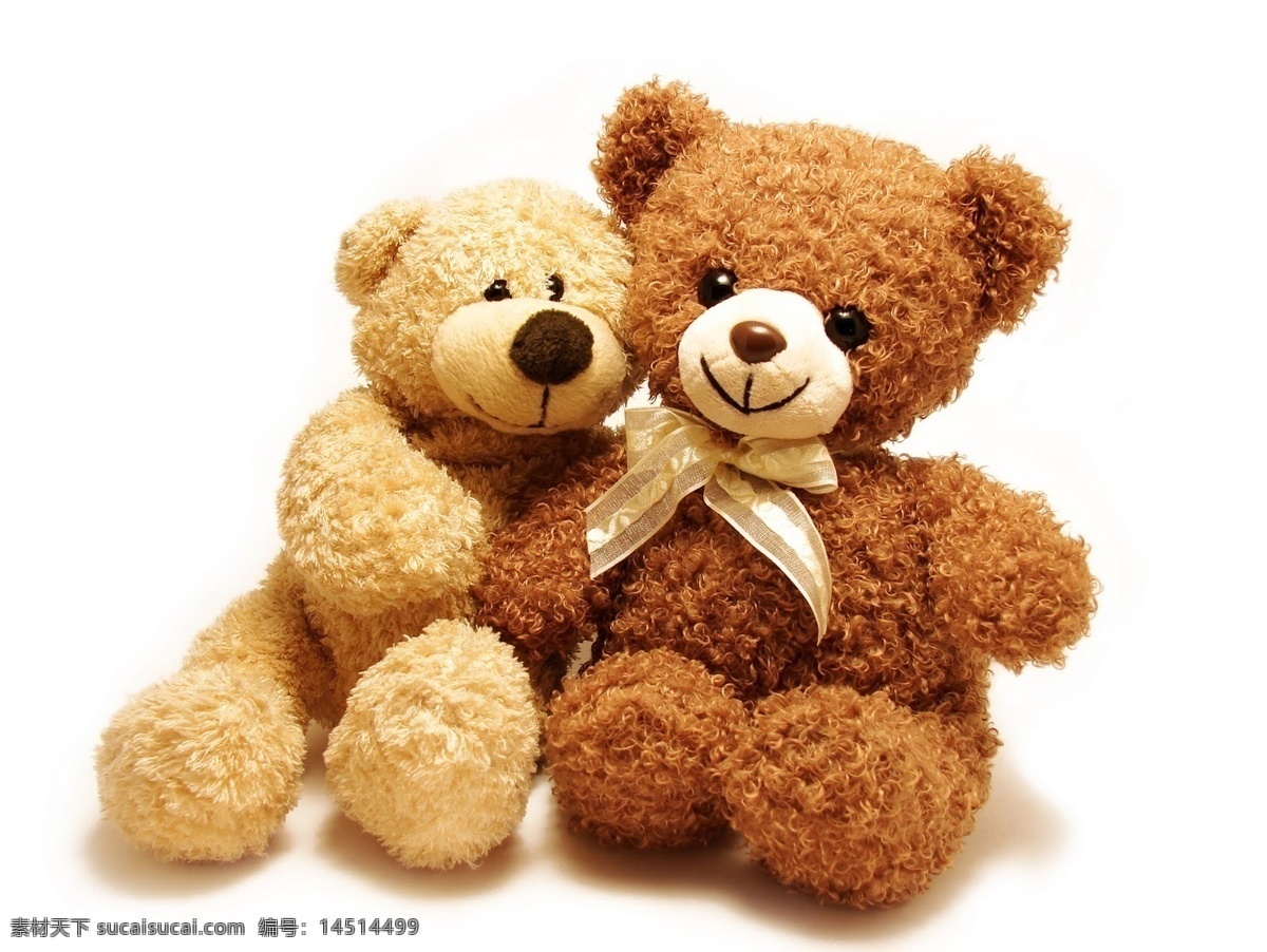 两只小熊玩偶 布偶玩具 纯白背景 毛绒玩具 高清壁纸 毛绒泰迪熊 娱乐休闲 生活百科
