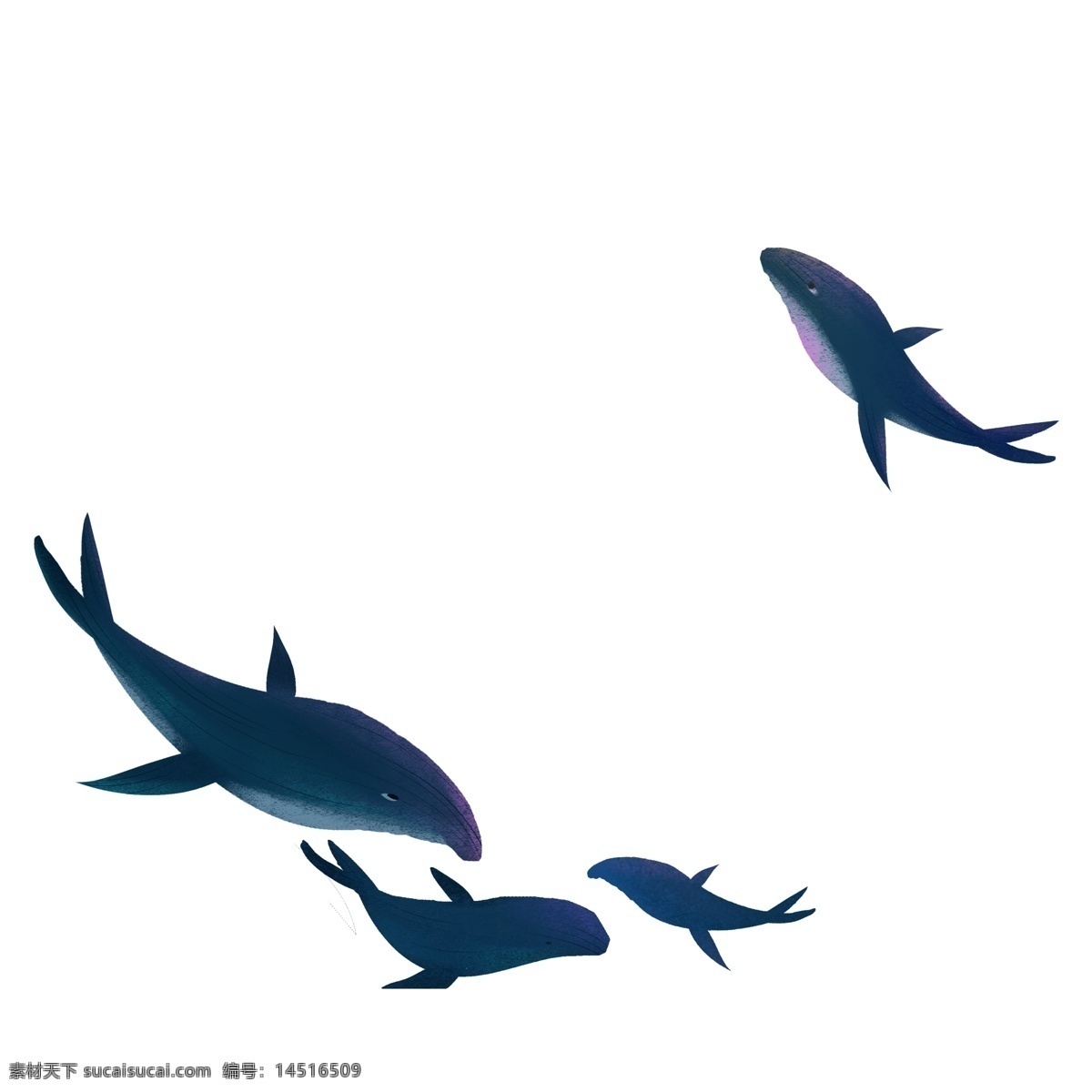 卡通 深蓝色 海豚 免 扣 图 卡通海豚 游 海豚免扣图 跳起来的海豚 免扣图