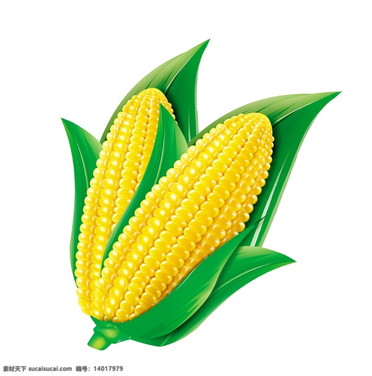 带叶的玉米 黄色玉米 两颗玉米 优质玉米图 农作物类 分层