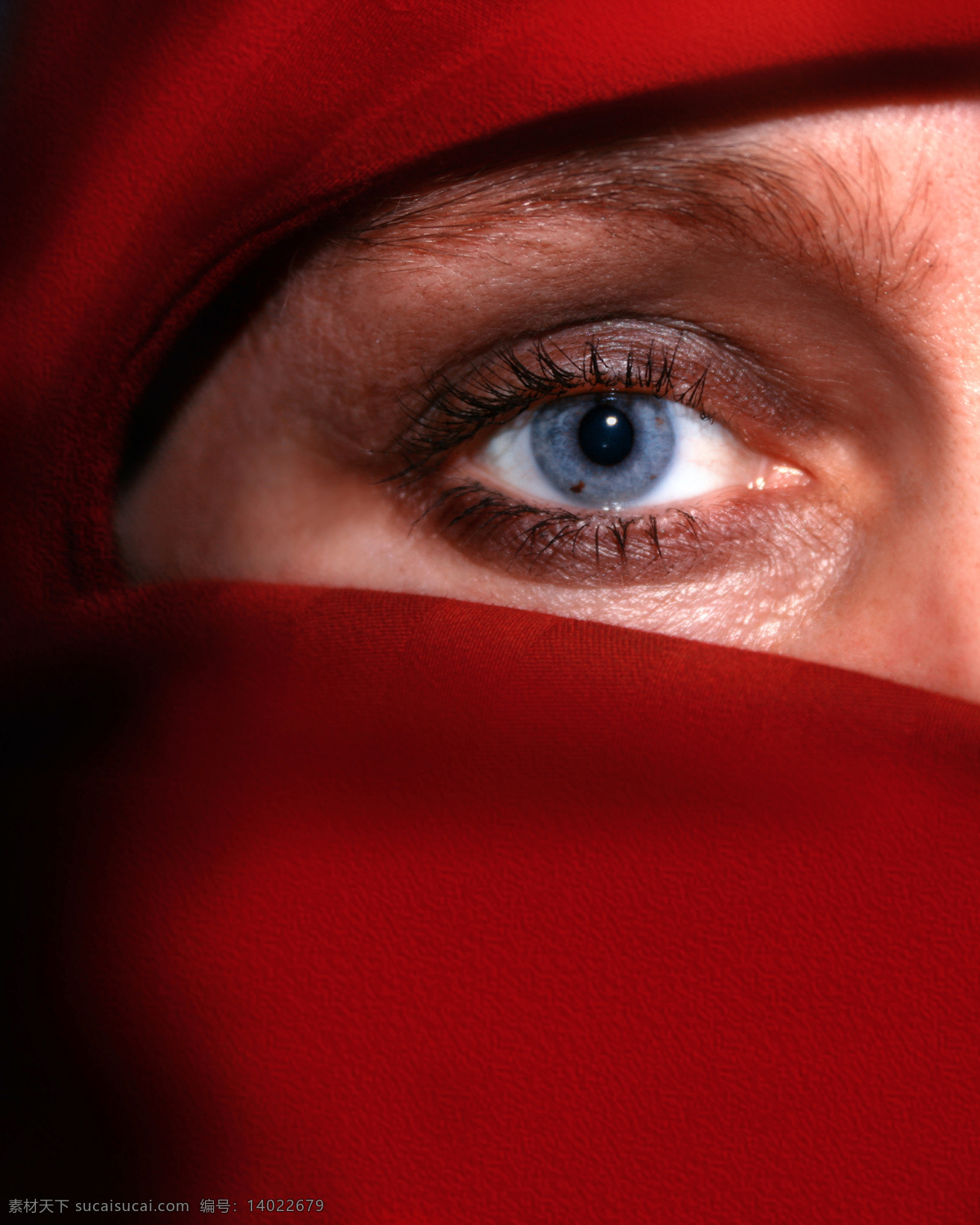 女人眼睛特写 女人 女性 蓝色眼睛 特写 蒙面 伊斯兰 女性女人 人物图库