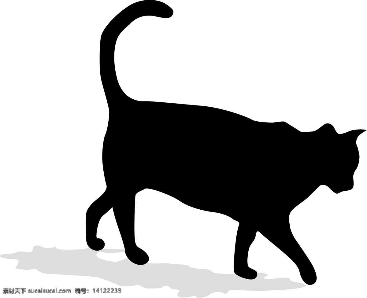 黑猫 猫 动物 剪影 宠物 其他生物 生物世界 矢量