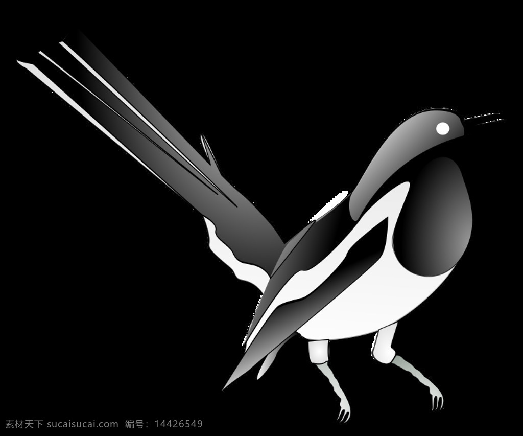 东方鹊罗宾 鸟 黑色 白色 cagebird 喜鹊 东方 罗宾 小 歌 歌唱的鸟 svg