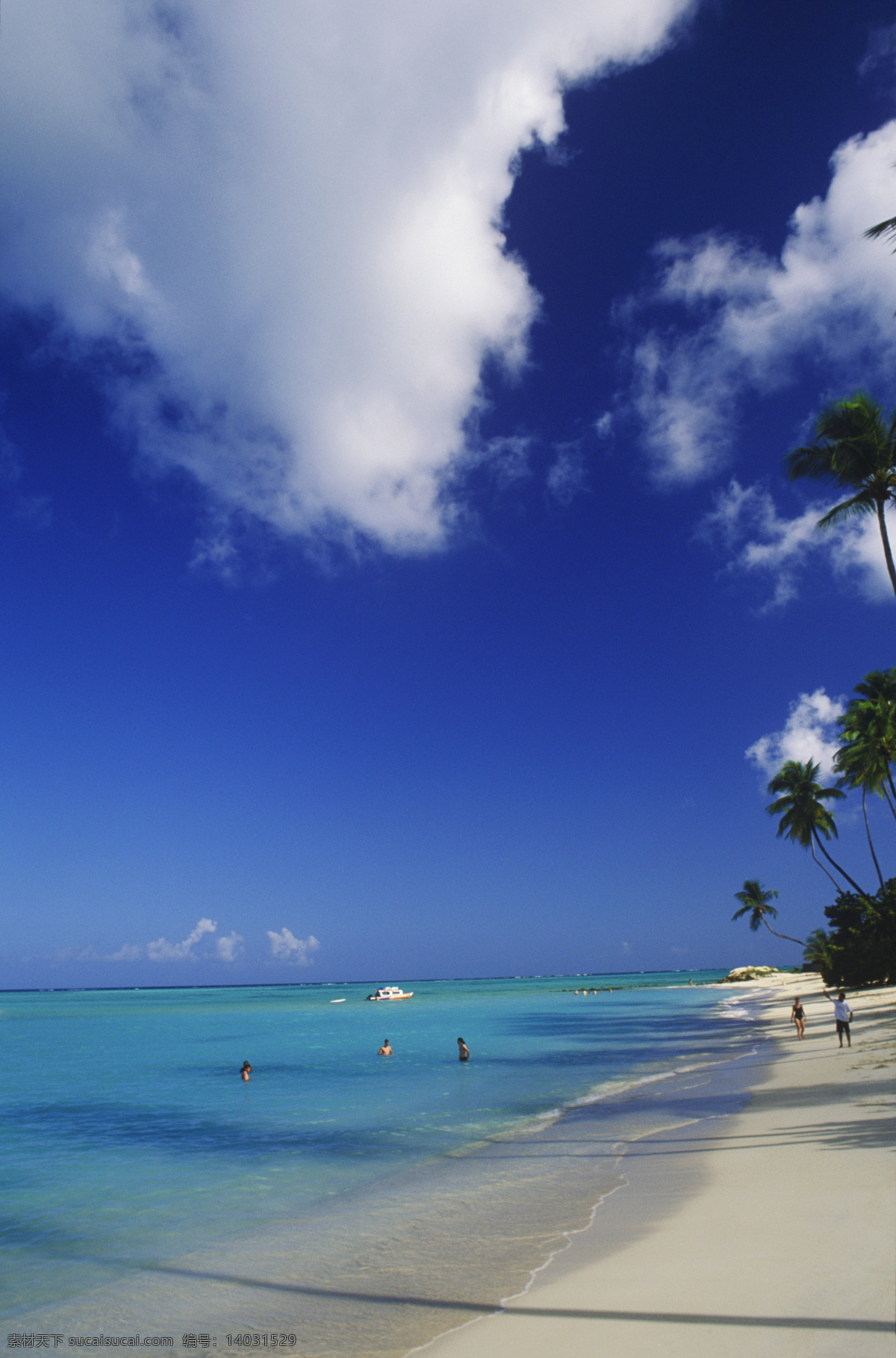 蓝色 海岸 度假 游玩 人们 游泳 休闲 大海 漂亮 美景 风景 岸边 加勒比海岸 高清图片 大海图片 风景图片