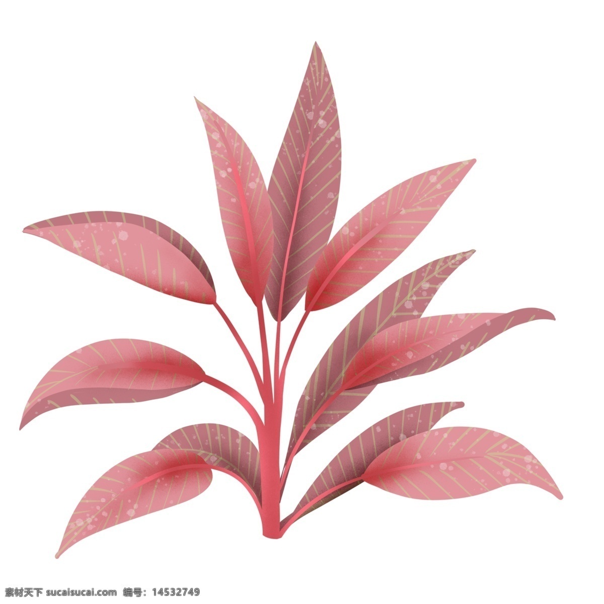 红色热带植物 热带 植物 红色