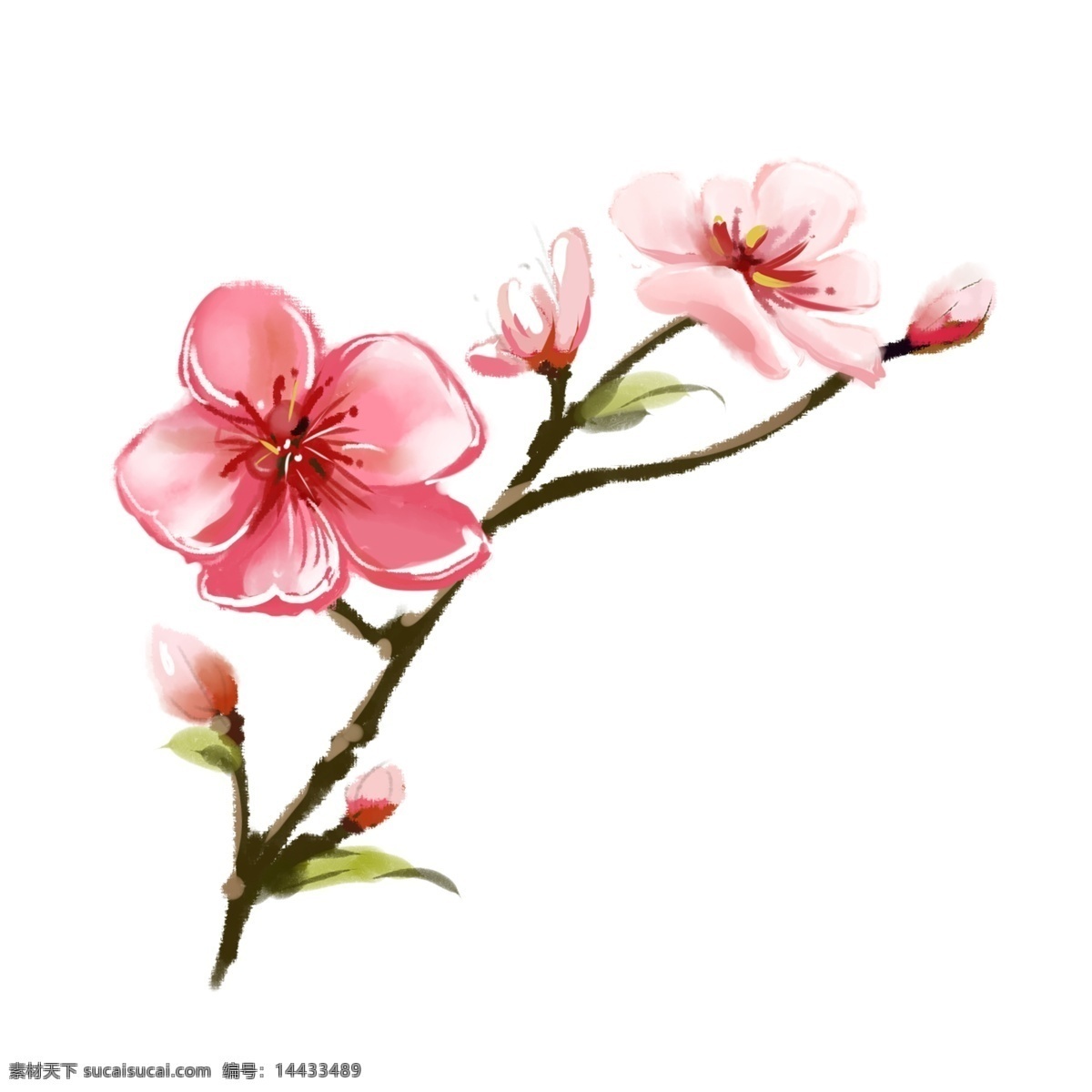 粉色 春季 桃花 花朵 花枝 花苞 手绘 文艺 粉色花朵 手绘花