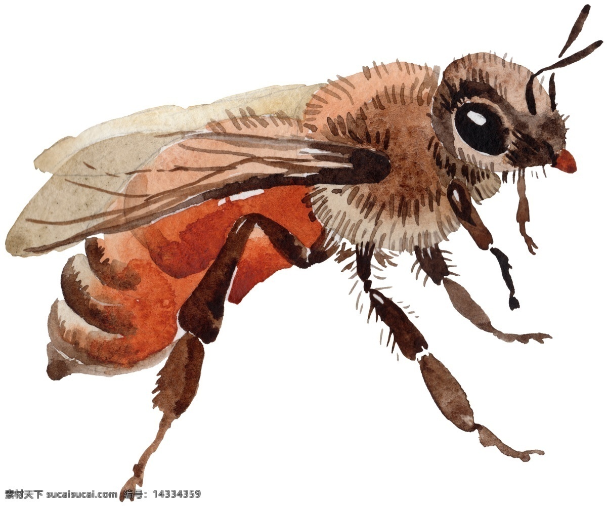 小蜜蜂 昆虫 生物 蜜蜂采蜜 黄蜂 马蜂 水墨竹子 发簪 桃花