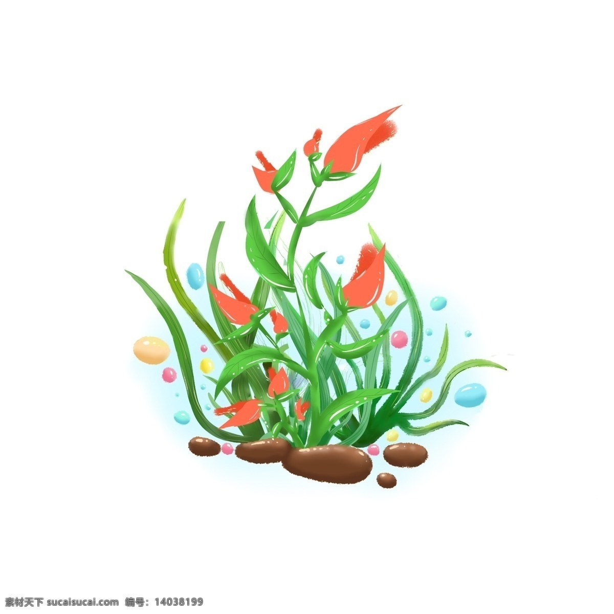 海底 世界 小 植物 绿色 海草 花 红色