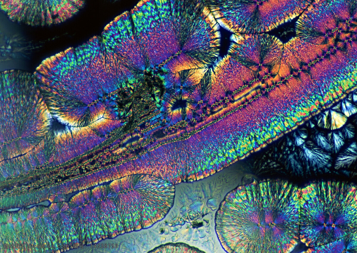 多彩 细胞壁 多彩细胞壁 细胞结晶图片 微观世界 细胞单元 结晶