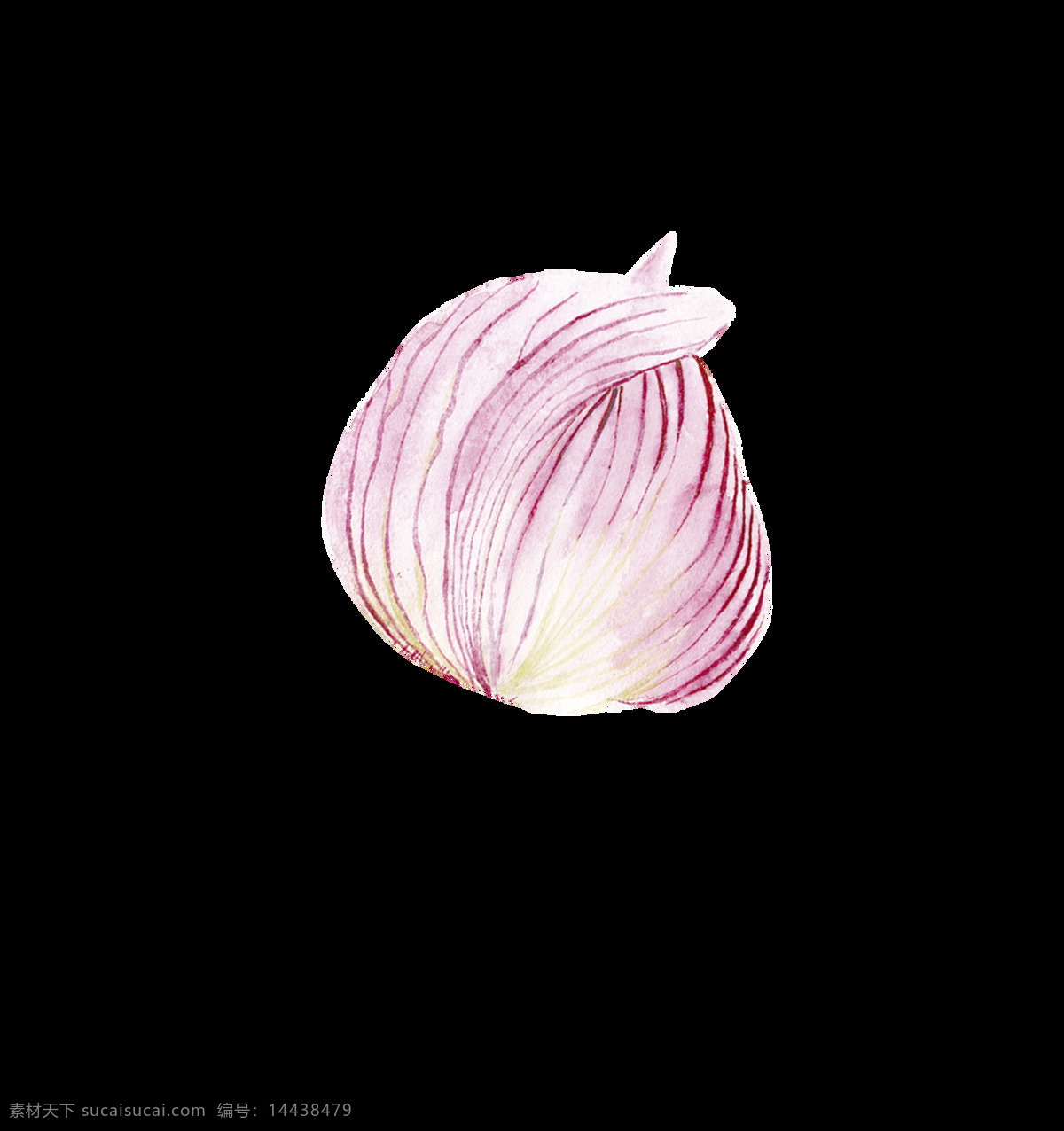 含苞待放 粉色 花卉 卡通 透明 装饰 抠图专用 设计素材