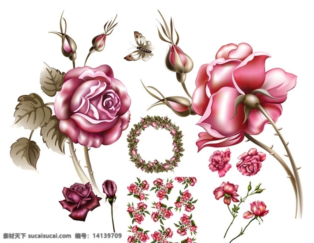 粉红玫瑰 玫瑰花素材 矢量玫瑰 玫瑰特写 玫瑰花图案 怀旧 绘画风格 玫瑰花束 花卉植物 分层