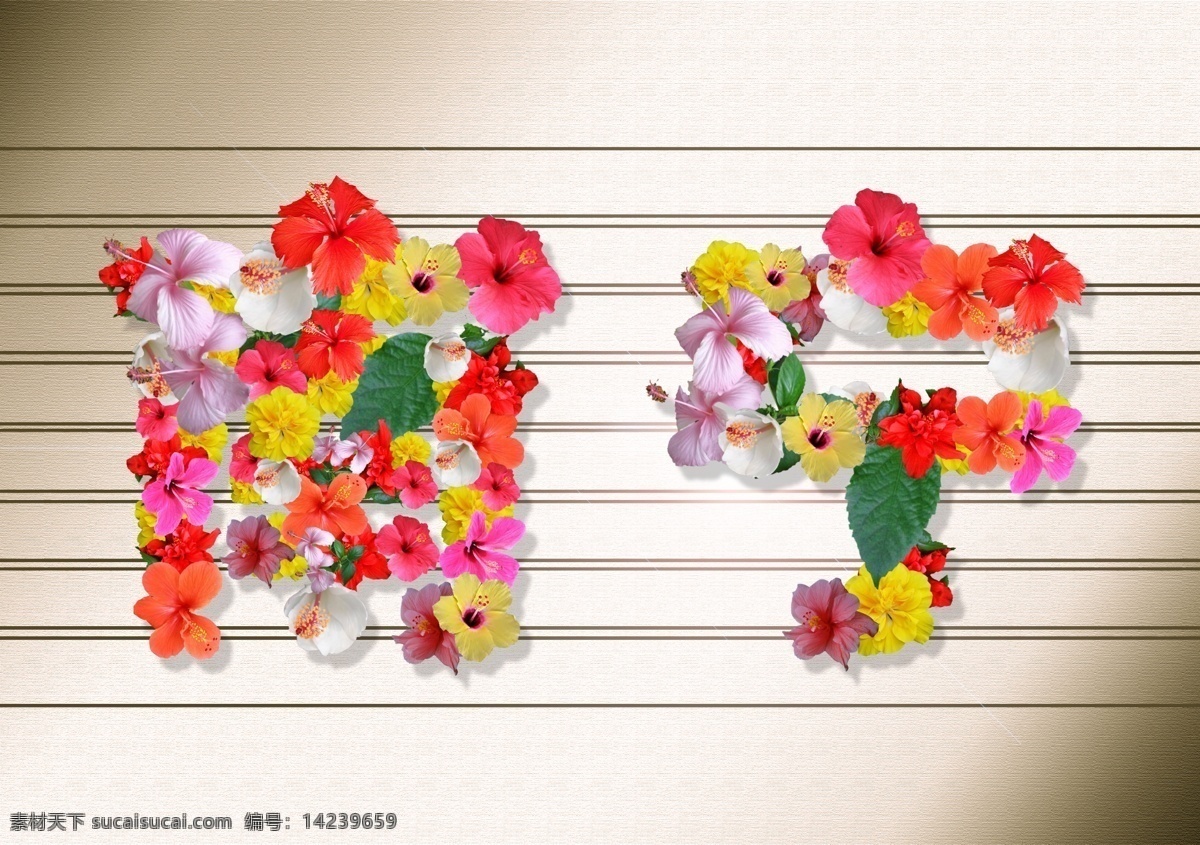 花簇南宁 朱瑾花 南宁 字体设计 白色