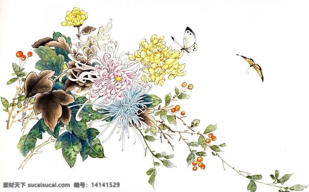 菊花 菊花国画 国画菊花 黄菊花 菊花绽放 盛开菊花 蝴蝶 蝴蝶起舞 菊花工笔画 国画花鸟 绘画 国画 国画集 绘画书法 文化艺术