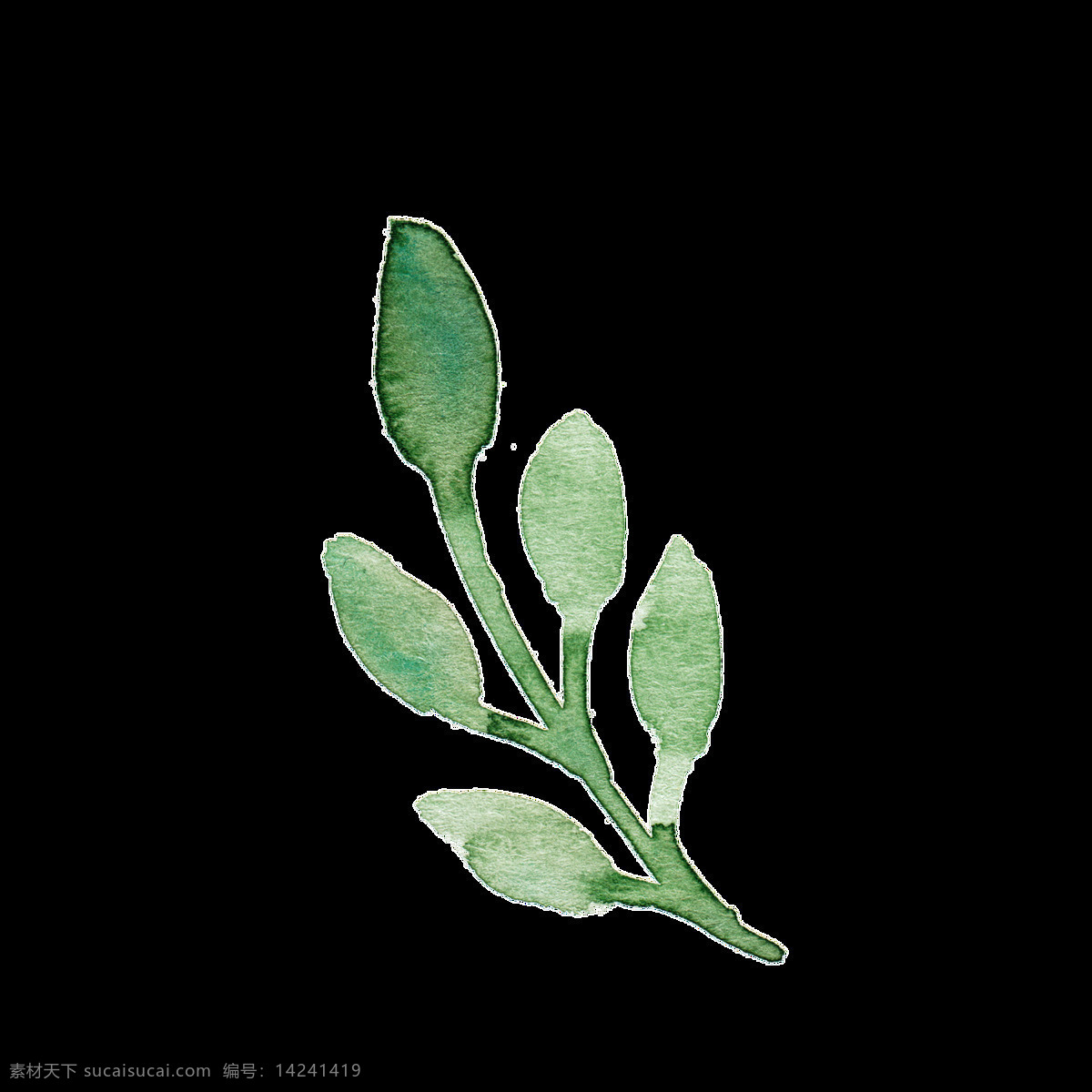 水彩 绿色 树叶 卡通 透明 免扣 手绘 透明素材 装饰 设计素材 淘宝素材 海报设计装饰 装饰图案