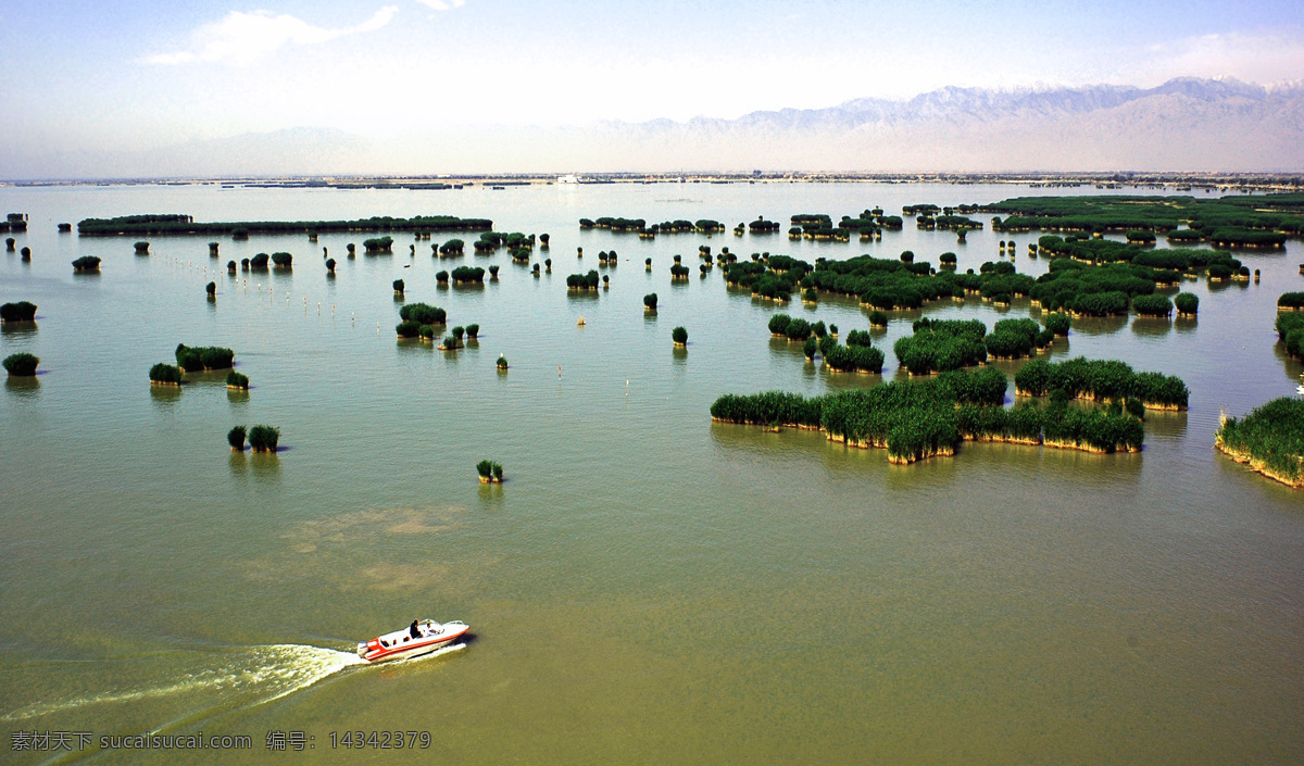 沙湖 湖水 芦苇 小船 自然风景 自然景观
