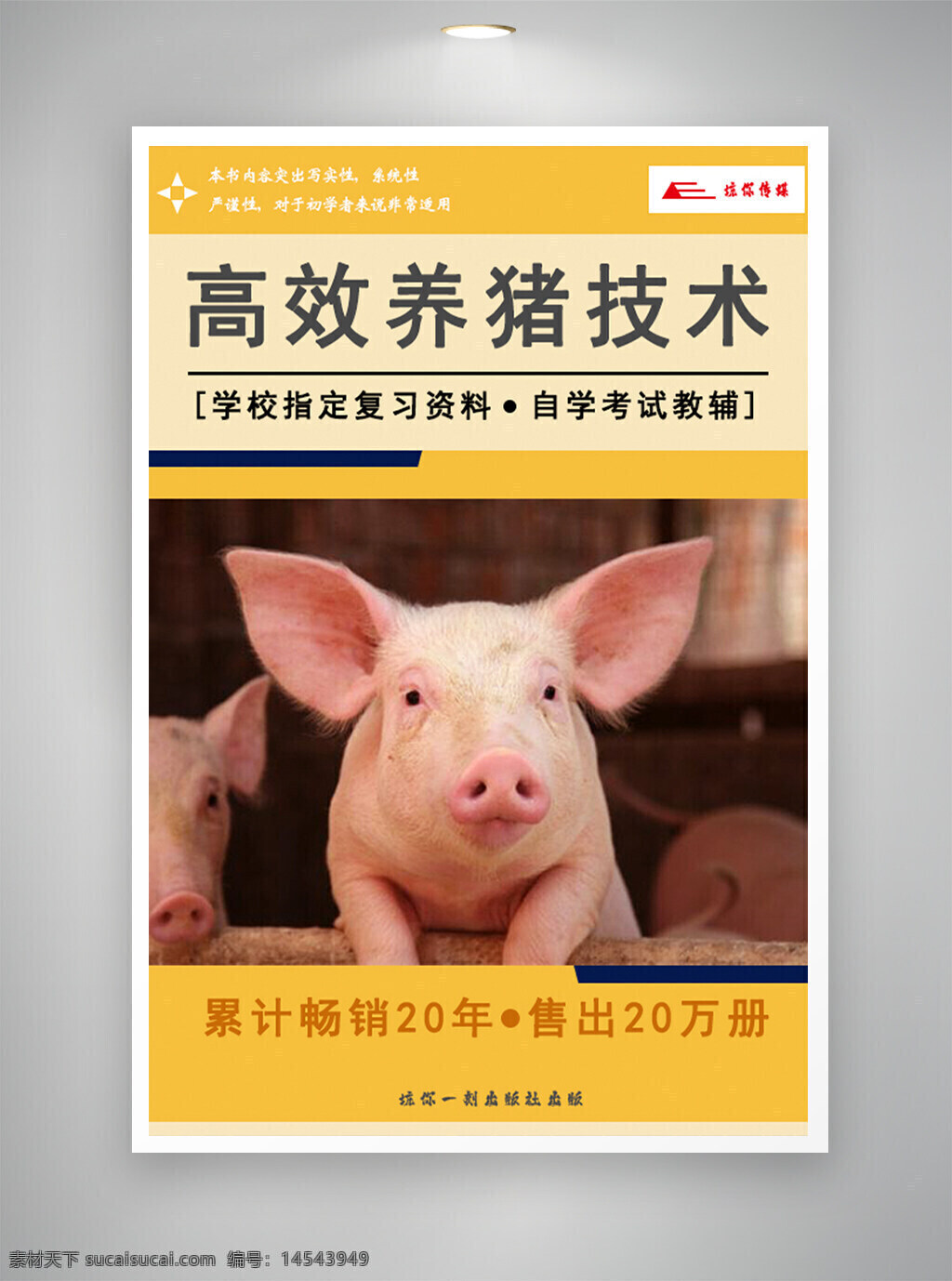 高效养猪技术封面 封面 技术封面 书籍封面