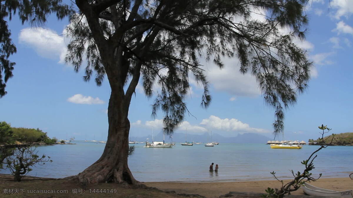 帕皮提 海滩 树 股票 视频 船 岛屿 帆船 海湾 海洋 人 游艇 塔希提 法属波利尼西亚 热带海洋 泻湖 水 玩 其他视频