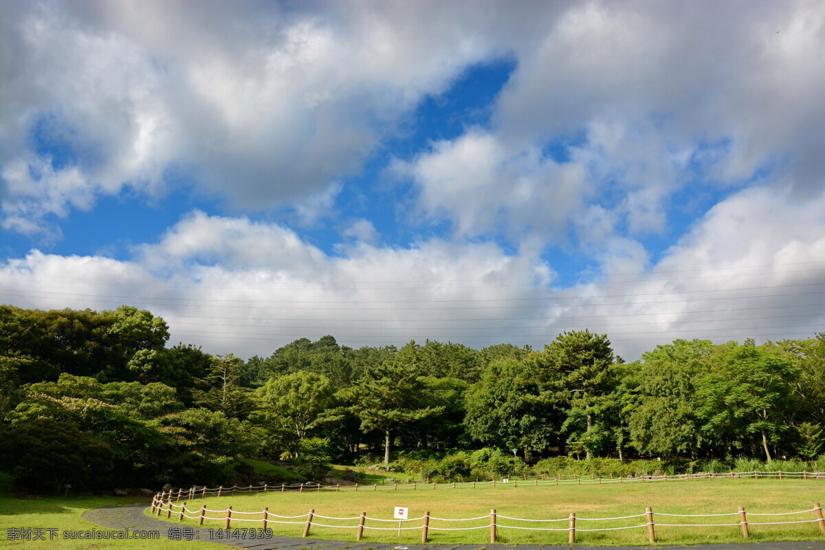 韩国济州岛 韩国 济州岛 公园 蓝天白云 花草树木 旅游摄影 国外旅游