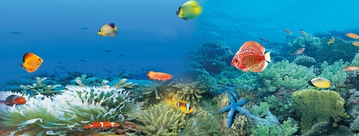 海底世界 鱼 海底风景 海底景观 设计图库 广告模板 国内广告设计 源文件库