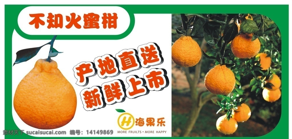 不知 火 蜜柑 海报 不知火蜜柑 桔子 产地直送 新鲜上市 海果乐 水果
