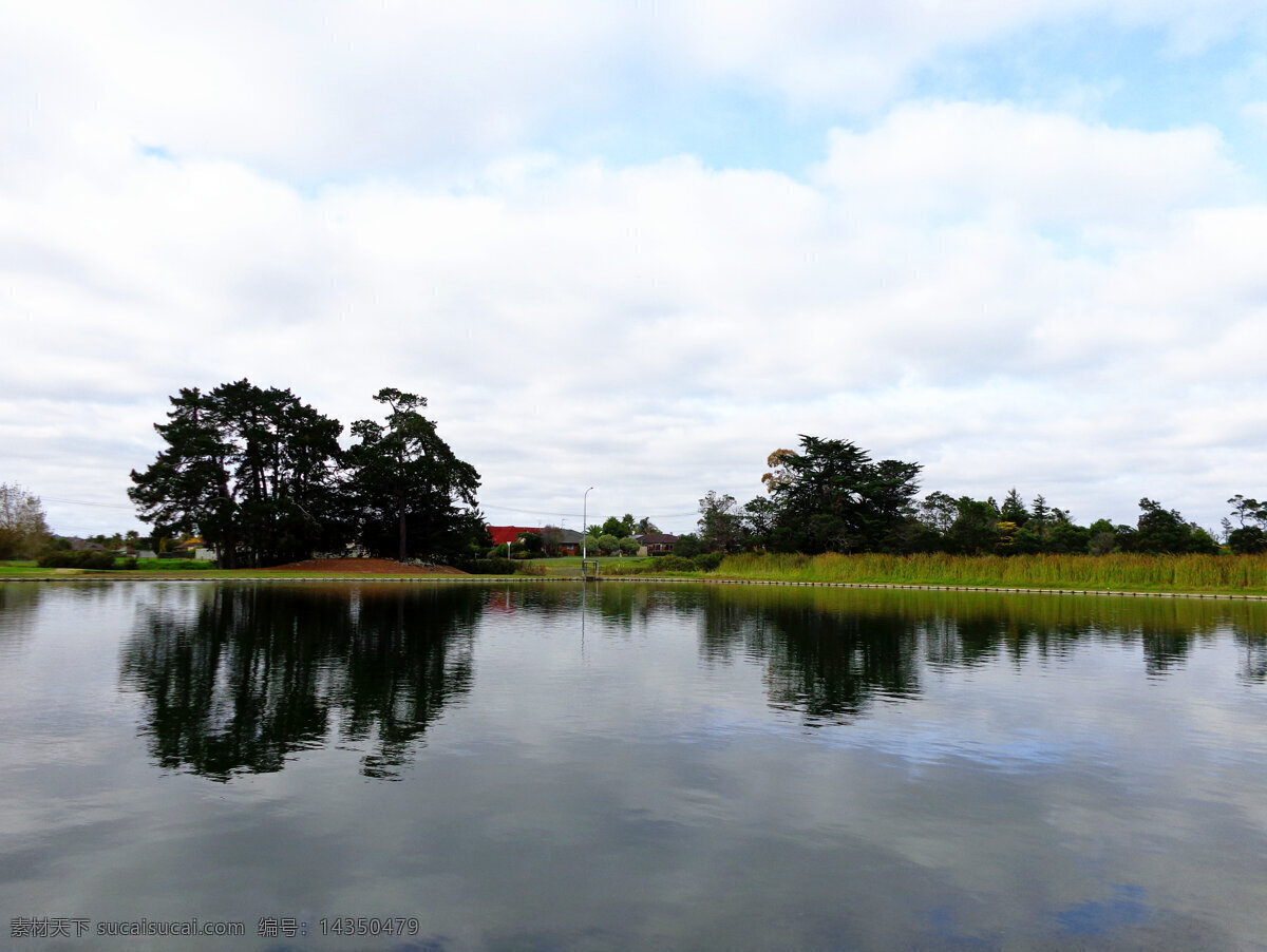 新西兰 野鸭湖 风景 蓝天 白云 湖水 湖畔 绿树 倒影 新西兰风光 自然景观 自然风景 白色