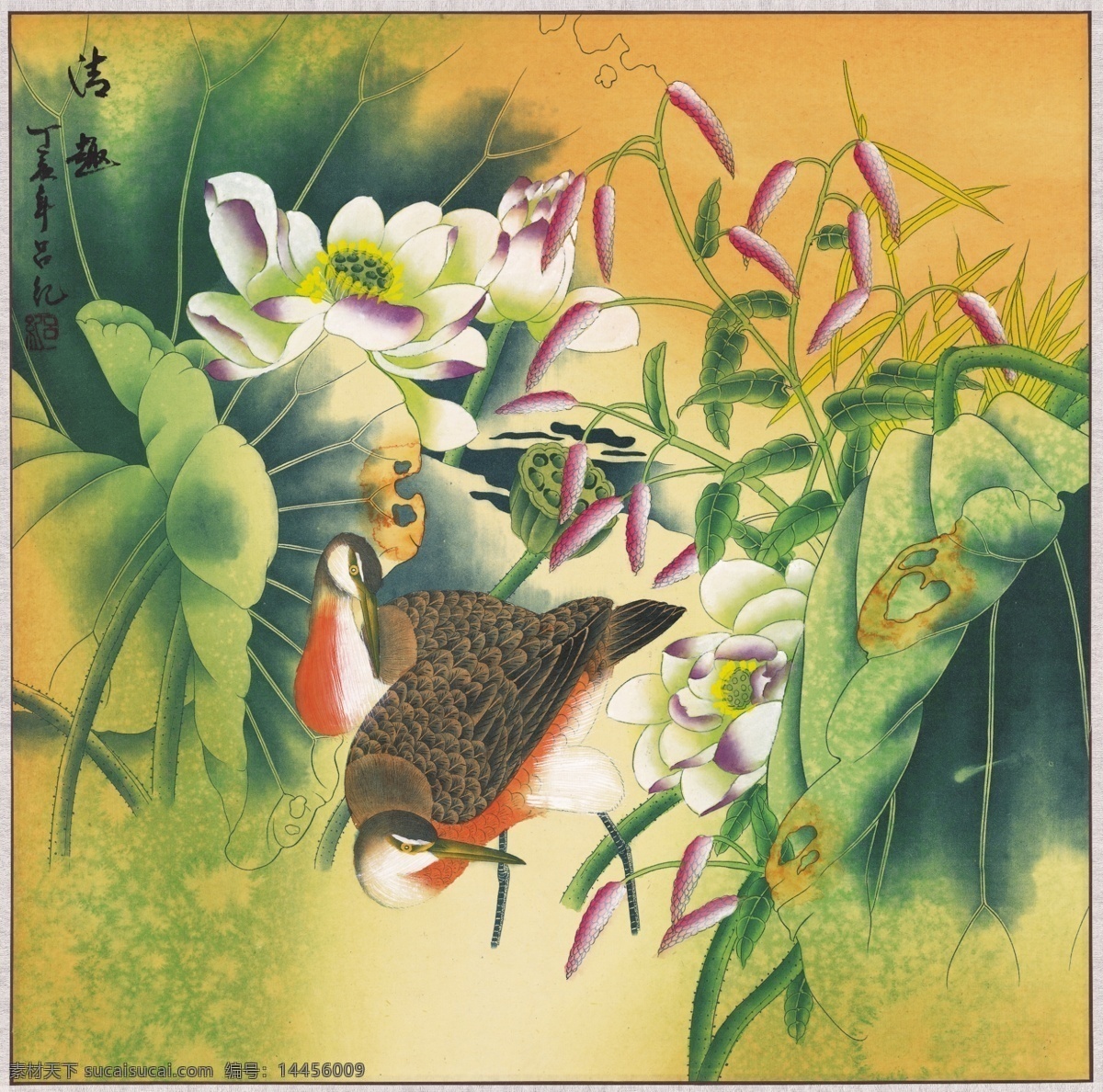 中式 古典 花鸟 工笔画 中国风绘画 精美绘画 植物花鸟 装饰画 古典画 牡丹花朵 文化艺术 美术绘画