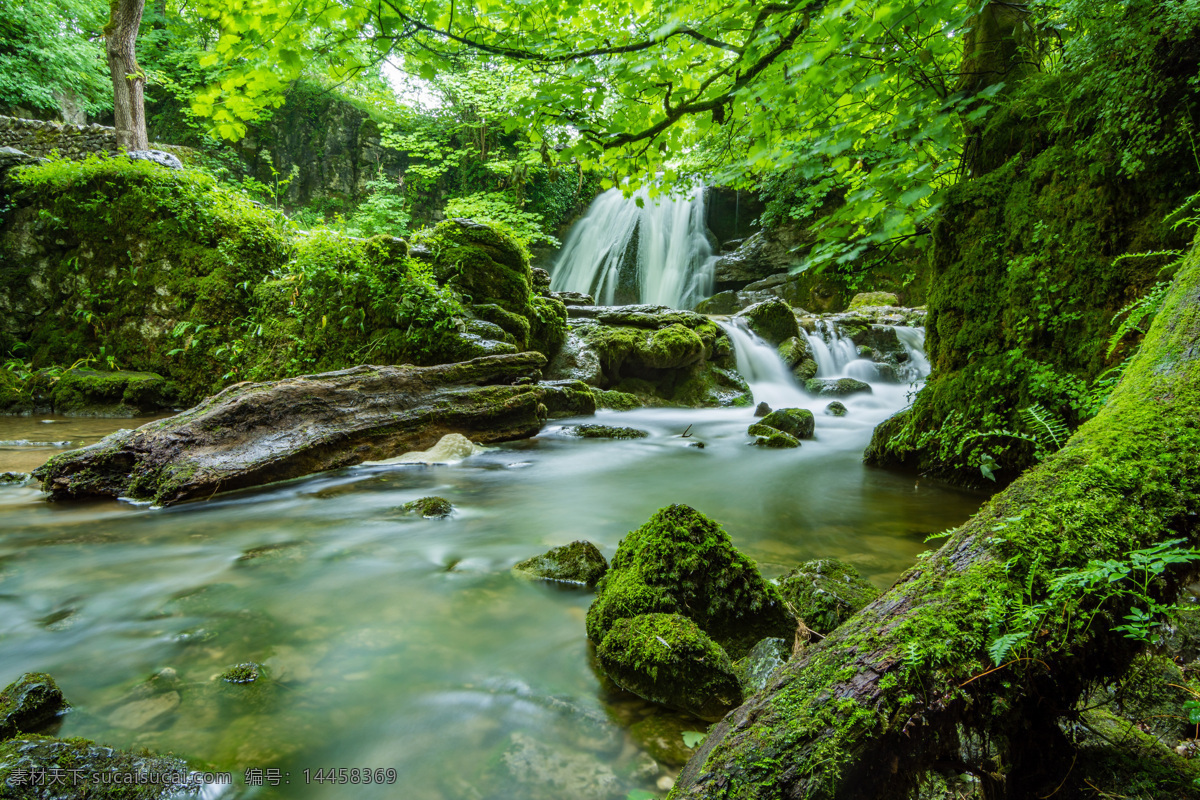 青山绿水 山水 风景 绿色 天然 人与自然 自然景观 和谐 天然氧吧 清澈 鱼 植物 大树 森林 青苔 天气 清新空气 清新 大自然 春天 素材类