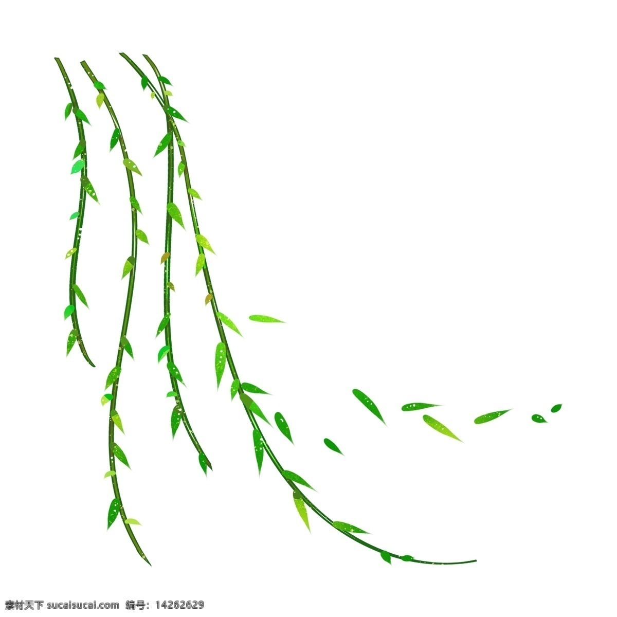 彩绘 清明 柳枝 元素 柳条 绿色枝叶 透明 免扣元素 树枝元素
