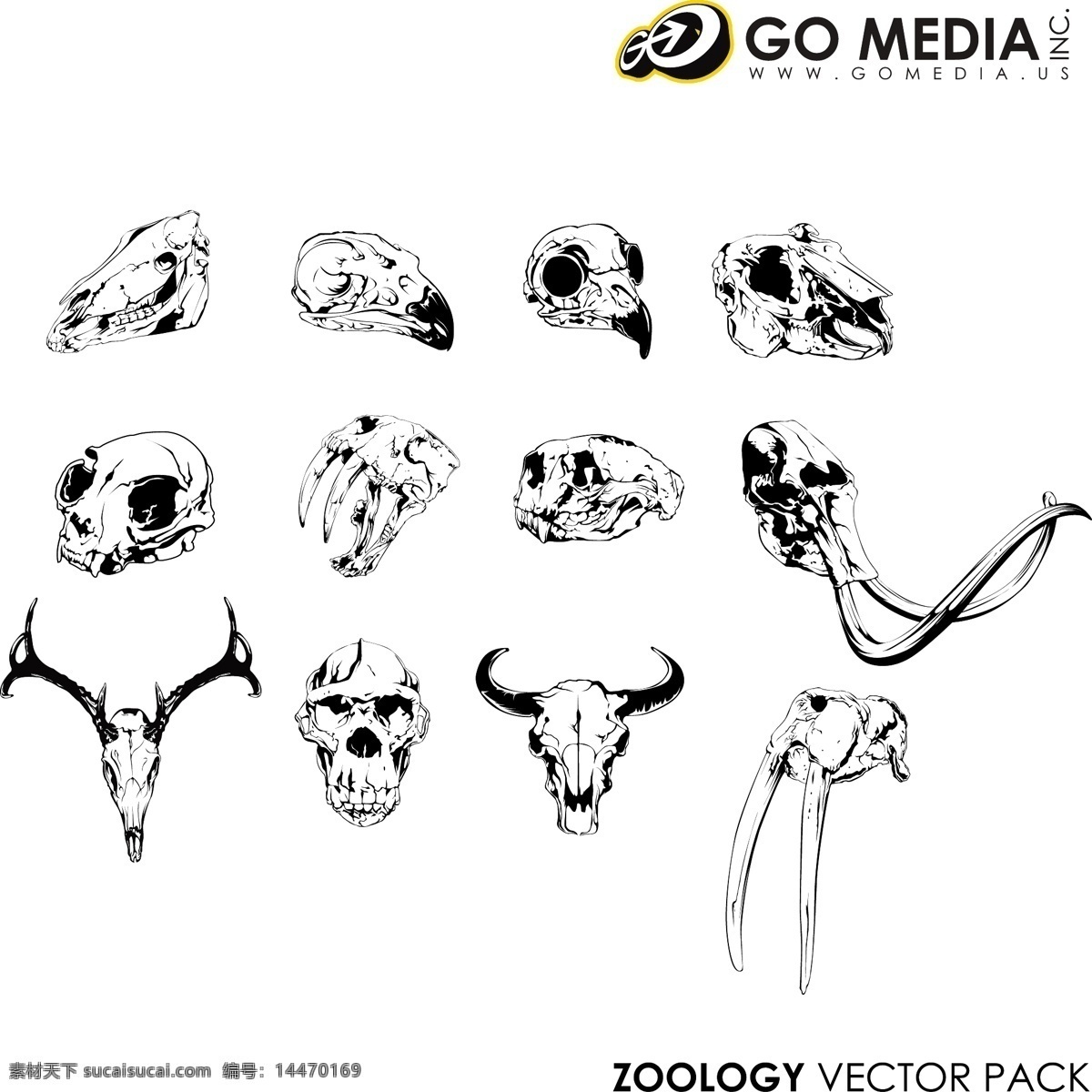 gomedia 出品 动物 颅骨 矢量下载 网页矢量 商业矢量 矢量综合 白色