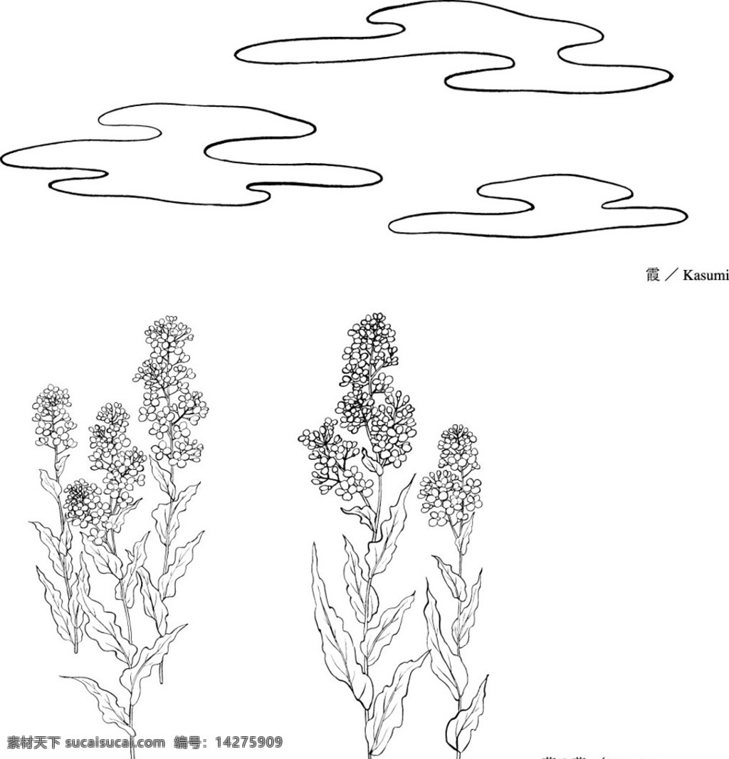 线描 花 矢量 线描花 矢量素材 花卉 线描花卉 矢量花卉 实用素材 底纹边框 花边花纹