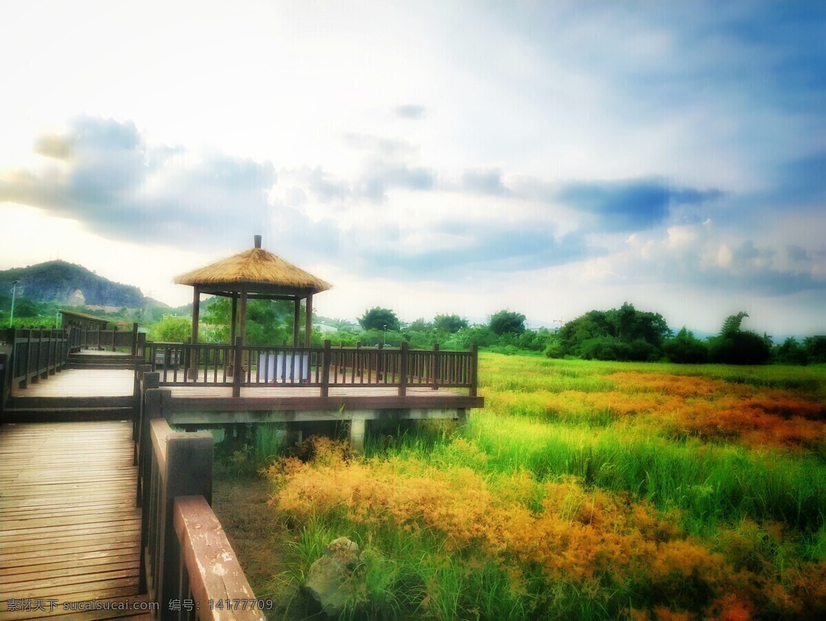 油画 式 田园风光 蓝色天空 草地 风光 桥 稻田 绿色自然 自然景观