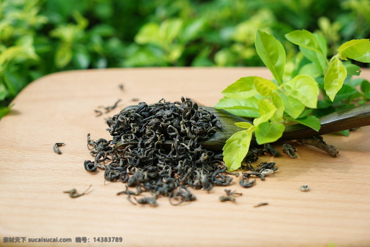 绿茶干茶 茶叶 特写 回龙茶 绿茶 干茶 餐饮美食 食物原料