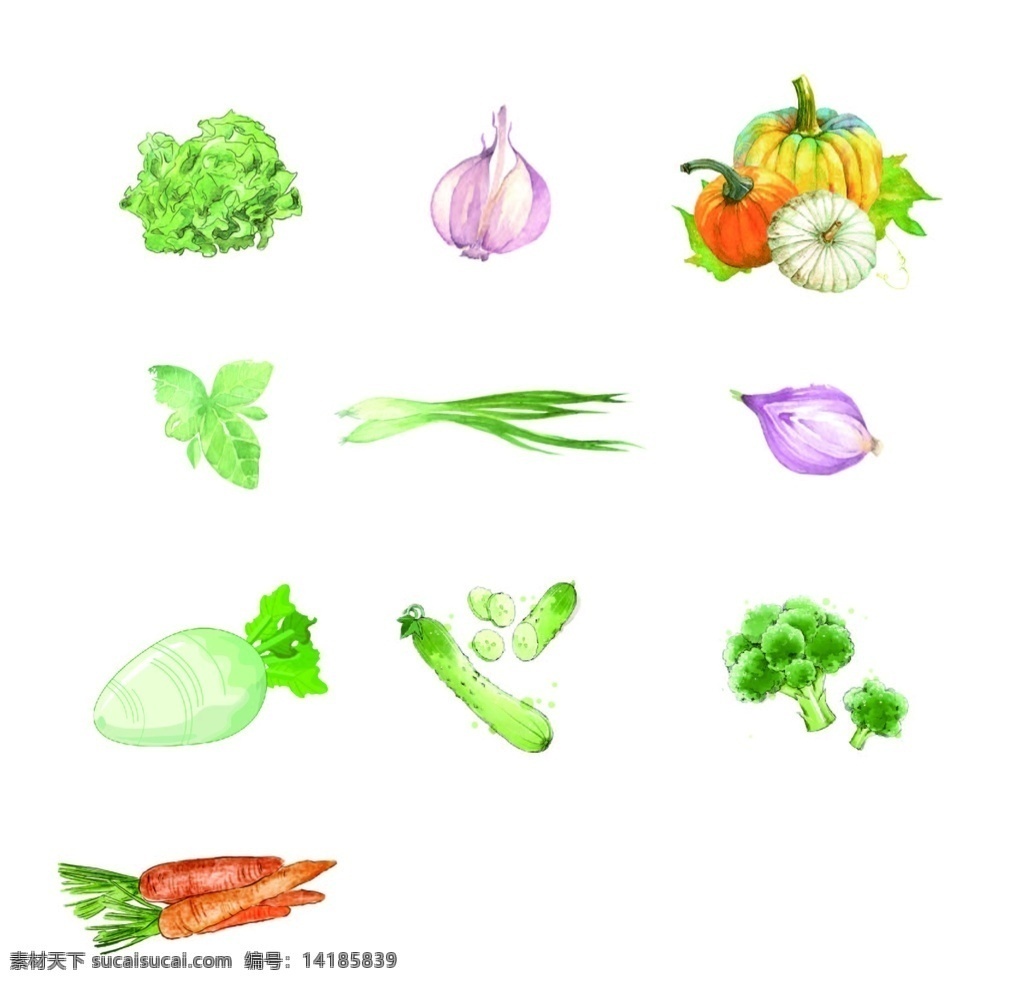 手绘蔬菜 矢量图 蔬菜 胡萝卜 萝卜 洋葱 南瓜 西蓝花 小葱 标志图标 其他图标
