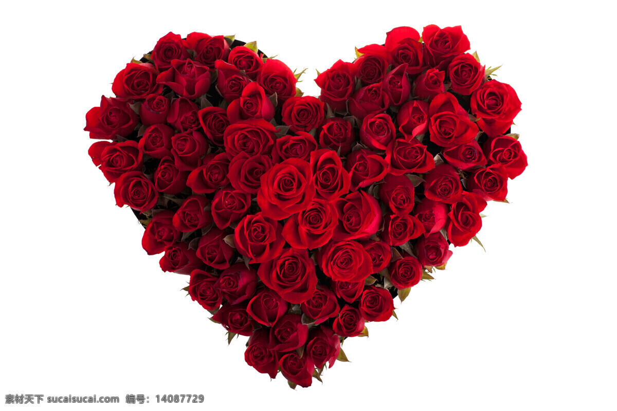 爱心 鲜花 花卉 植物 花草树木 玫瑰花 红色花朵 爱心鲜花 生物世界