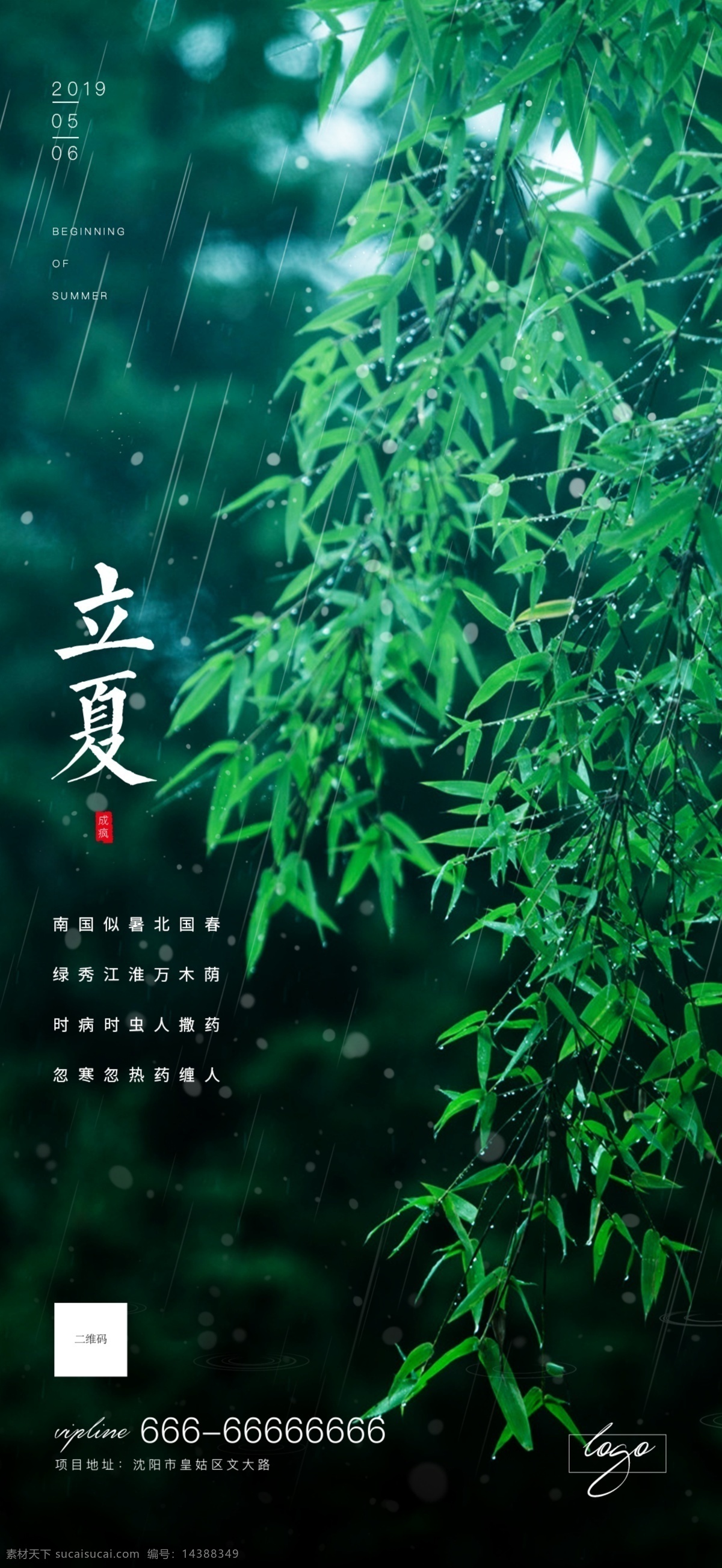 立夏 转发图 竹林 节气 二十四节气 春雨 夏季 森林 绿色 环保 雨 节日节气