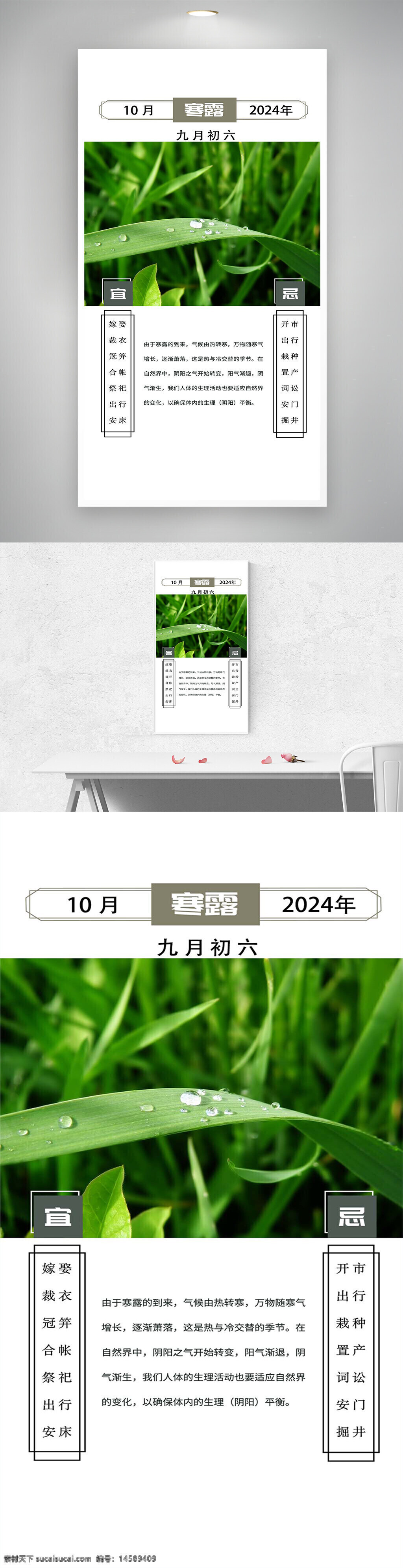 草丛 露珠 简约 白色背景 日历 宜 忌 绿草 露水 2024寒露 传统节气 传统节气海报 二十四节气 二十四节气海报 寒露 寒露海报 寒露节气 寒露节气海报 寒露节气宣传 寒露节气宣传海报