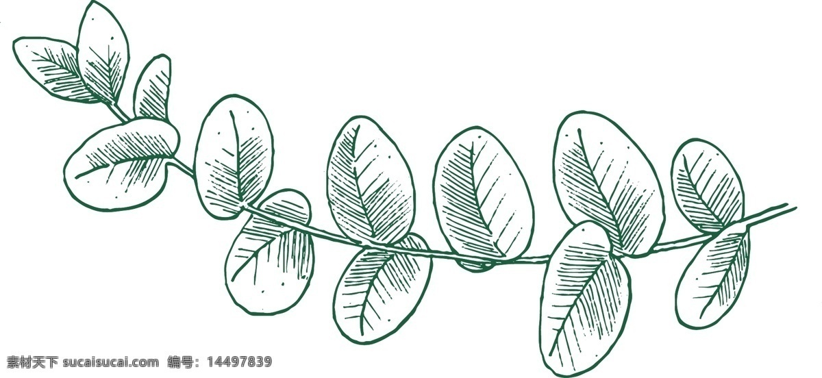绿色 水彩 唯美 树叶 卡片 海报 装饰 手绘 树枝 文艺 矢量 卡通 植物 插画