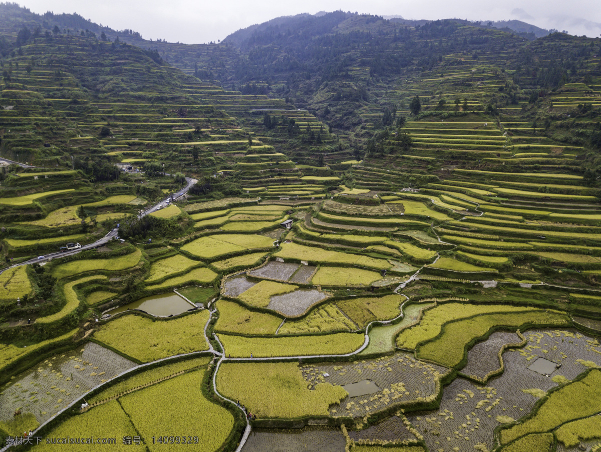 梯田 贵州苗寨 贵州 自然风光 植物 自然景观 山水风景