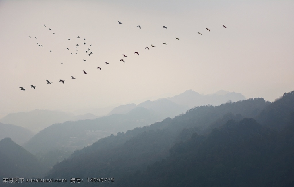 雾气 之中 山峦 雾气之中 一群大雁 自然 风光 风景 天空 大雁 飞鸟 小鸟 山岭 群山 高山 大山 山峰 飞禽 树木 树丛 高清 自然景观 自然风景