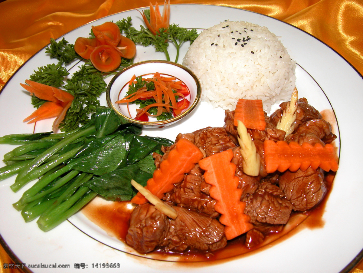 猪肉烩饭 红烧猪肉饭 菜品摄影 传统美食 餐饮美食